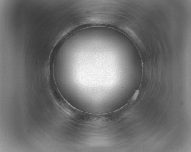 X0000071940488200607212204