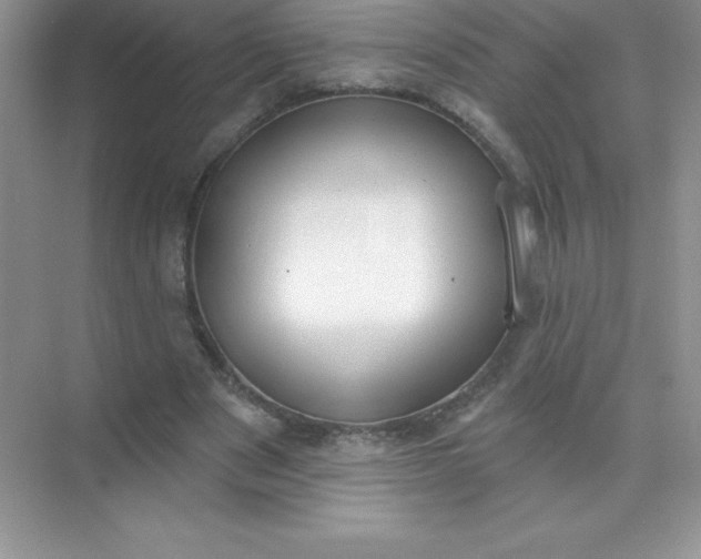 X0000071940489200607212204