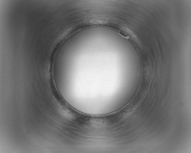 X0000071940490200607212204