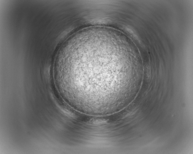 X0000071940491200607212204