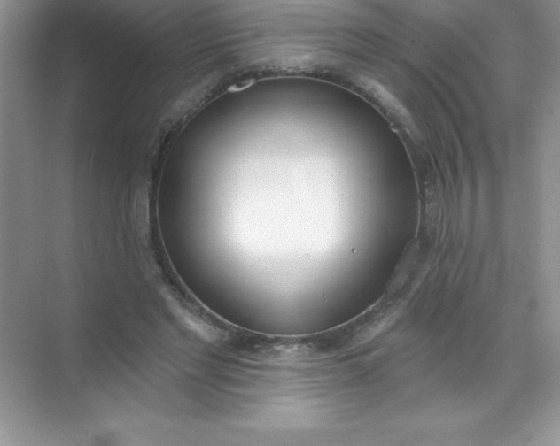 X0000071940493200607212204