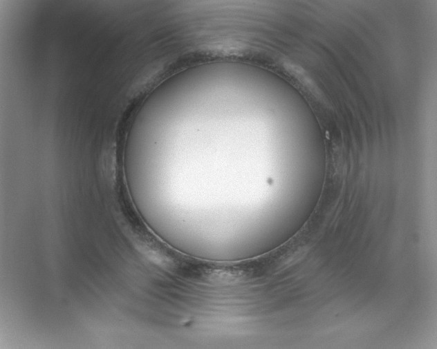 X0000071940494200607212204