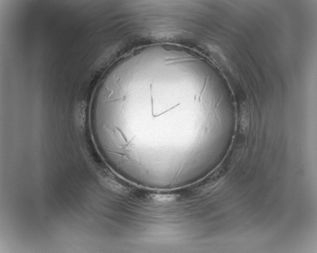 X0000071940495200607212204