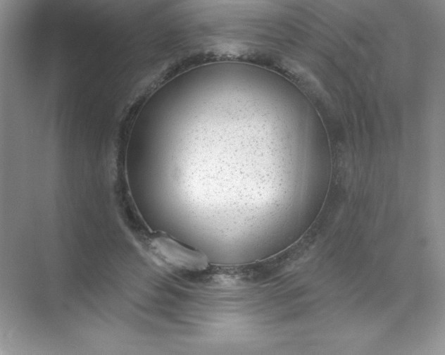 X0000071940496200607212204