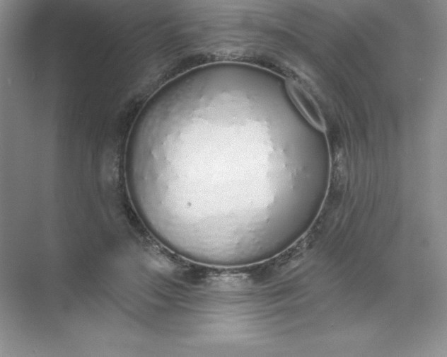 X0000071940499200607212204