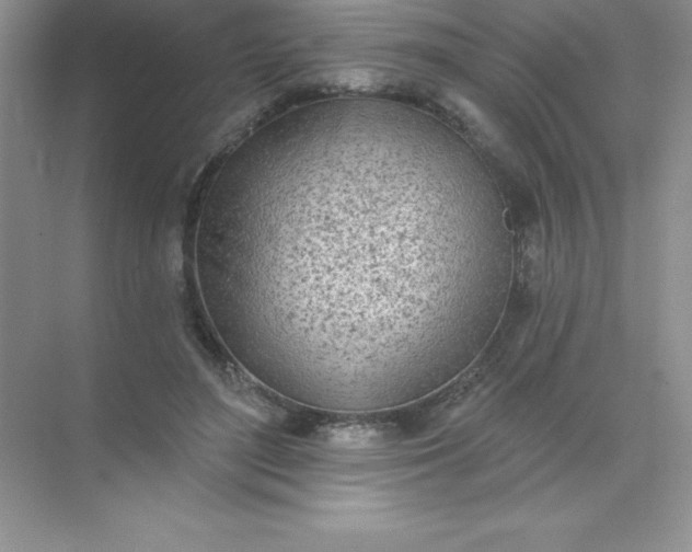 X0000071940500200607212204