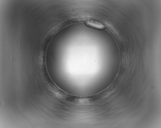 X0000071940501200607212204