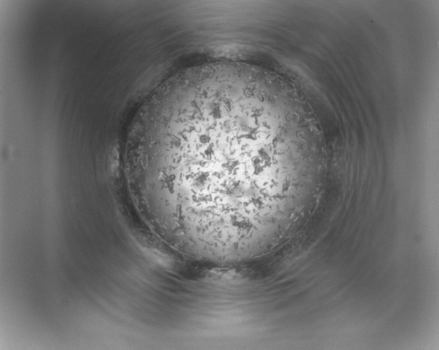 X0000071940502200607212204