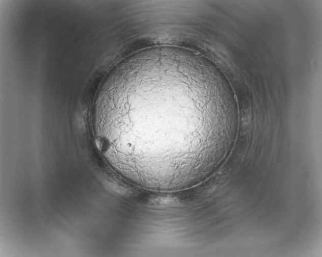 X0000071940503200607212204