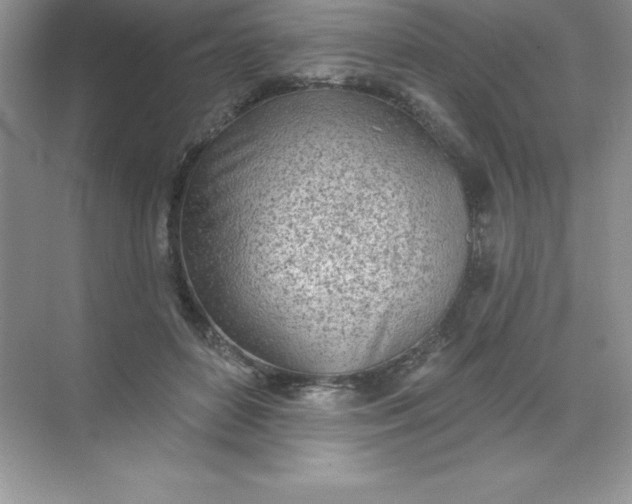 X0000071940504200607212204