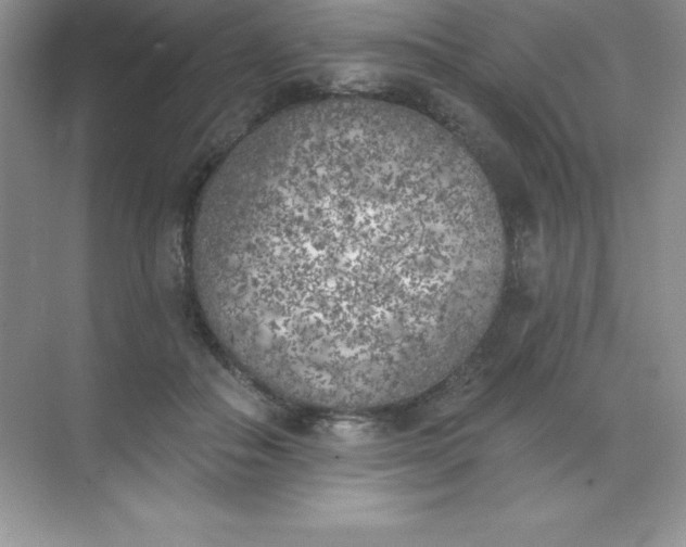 X0000071940506200607212204