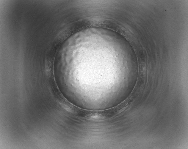 X0000071940507200607212204