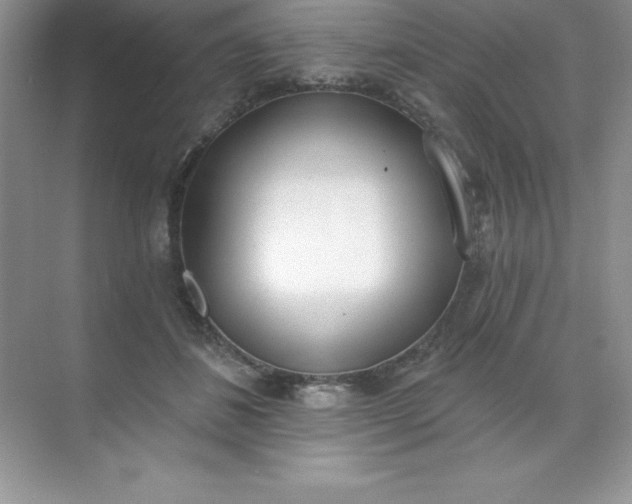 X0000071940508200607212204