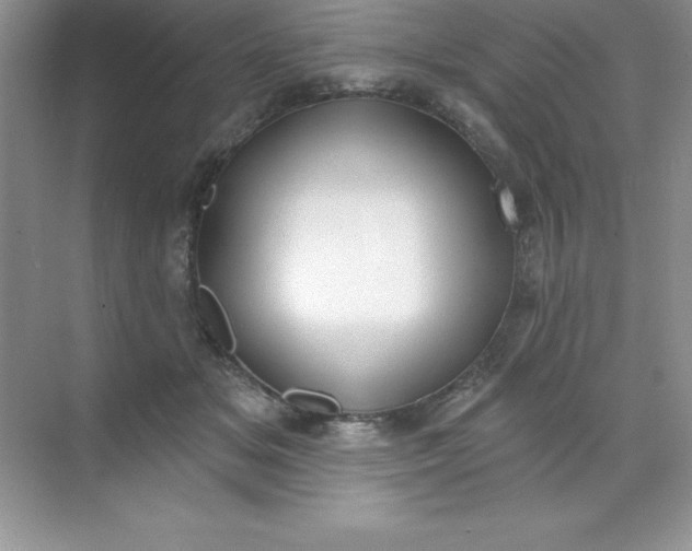 X0000071940509200607212204