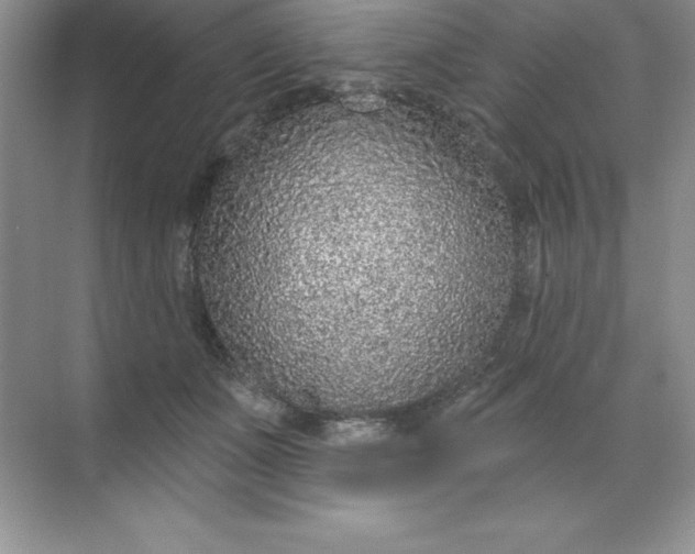 X0000071940511200607212204