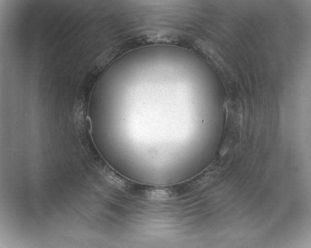 X0000071940513200607212204