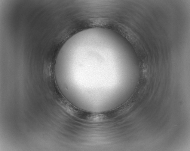 X0000071940514200607212204