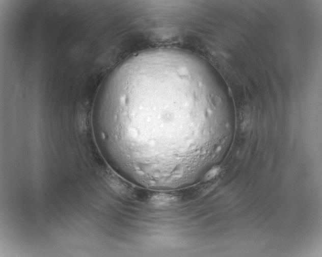 X0000071940515200607212204