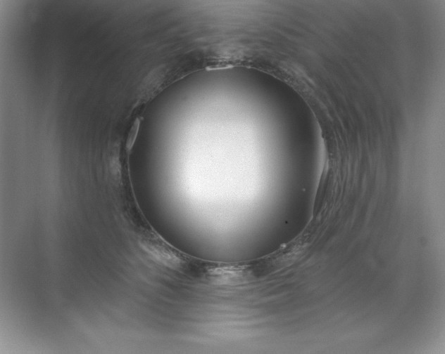 X0000071940516200607212204