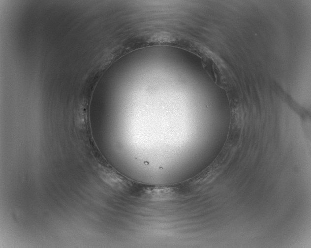 X0000071940517200607212204