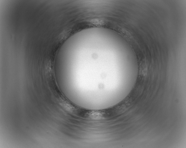 X0000071940518200607212204