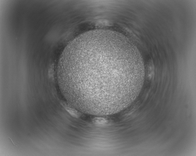 X0000071940519200607212204