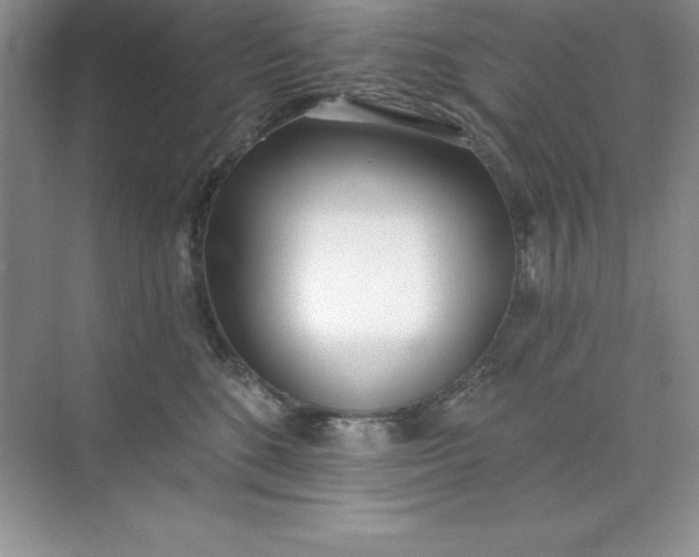 X0000071940520200607212204