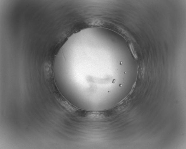 X0000071940521200607212204