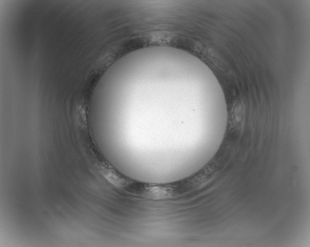 X0000071940522200607212204