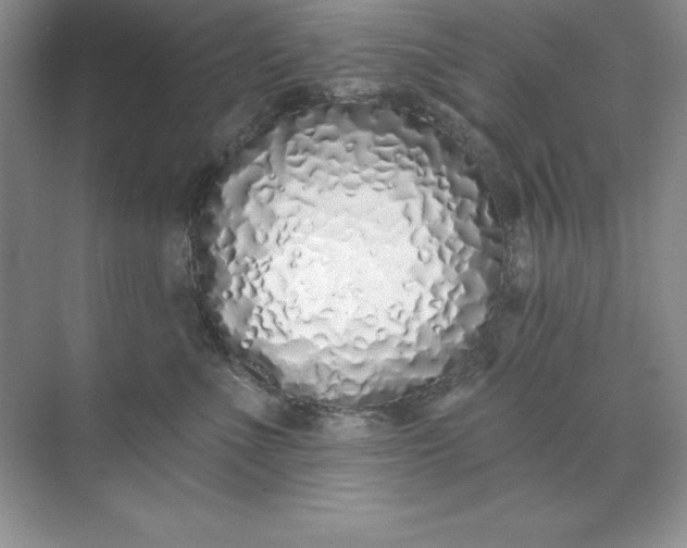 X0000071940523200607212204