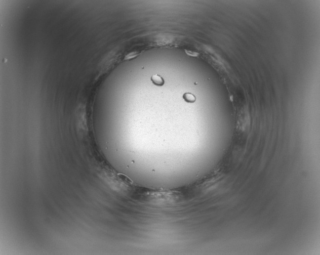 X0000071940524200607212204