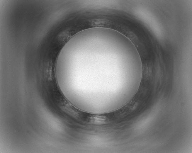 X0000071940525200607212204