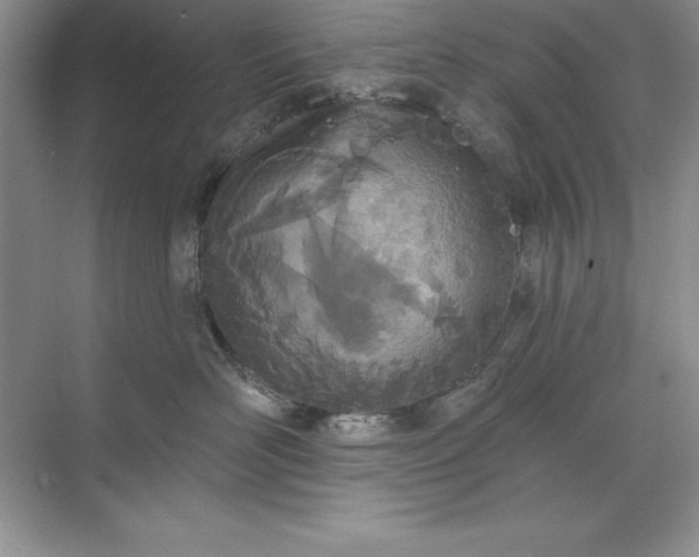 X0000071940526200607212204