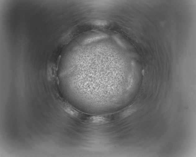 X0000071940528200607212204