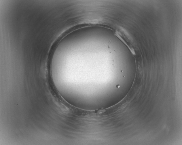 X0000071940532200607212203