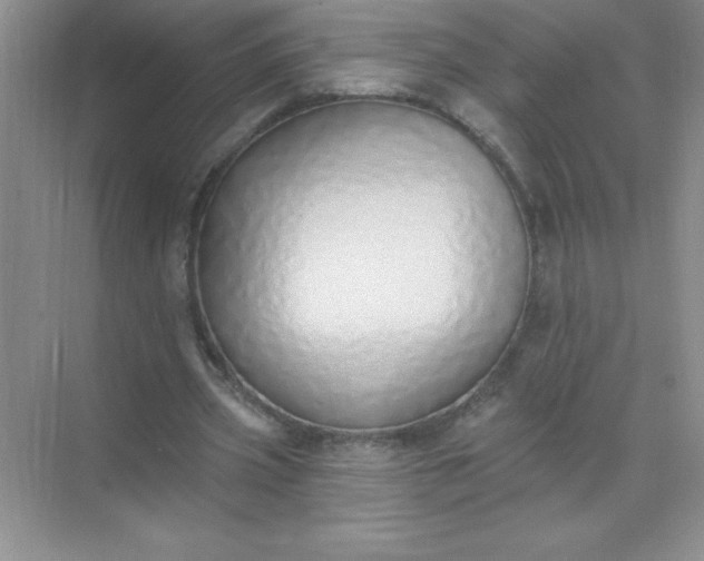 X0000071940533200607212203