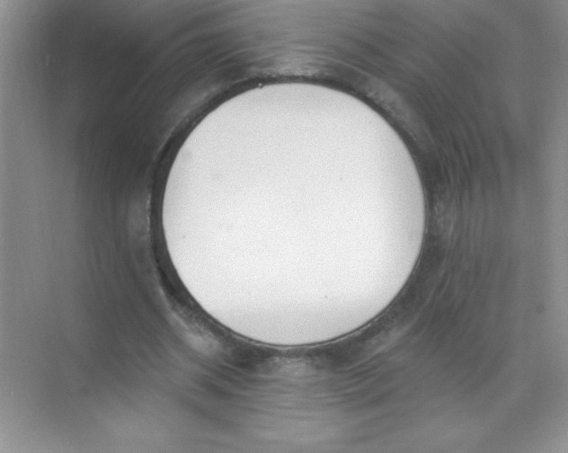 X0000071940534200607212203