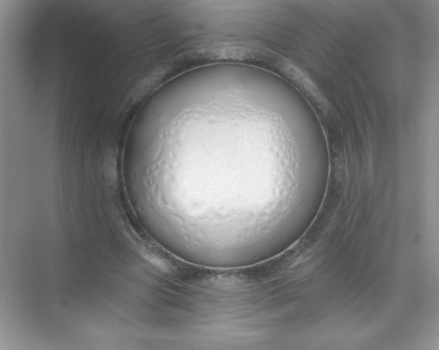 X0000071940537200607212203