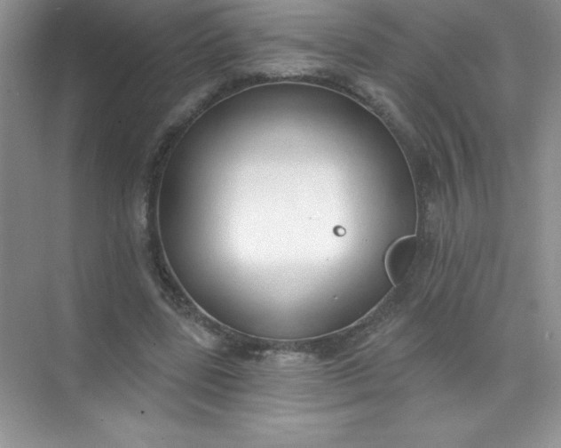 X0000071940539200607212203