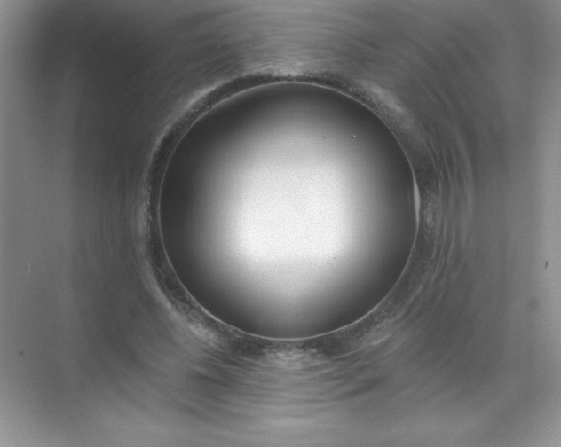 X0000071940540200607212203