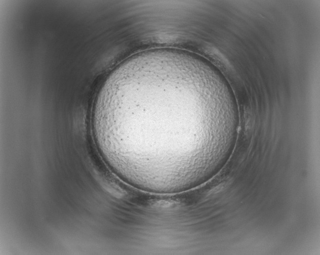 X0000071940542200607212203