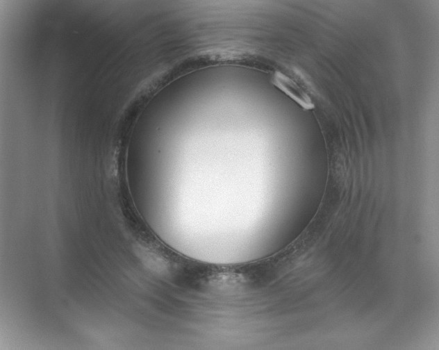 X0000071940543200607212203