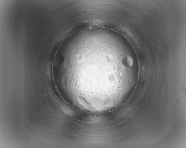 X0000071940545200607212203