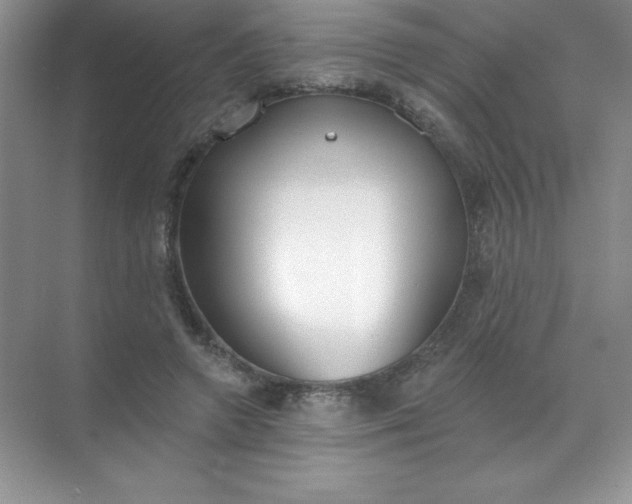 X0000071940546200607212203