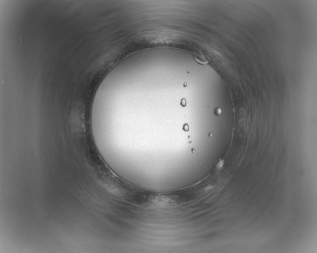 X0000071940547200607212203