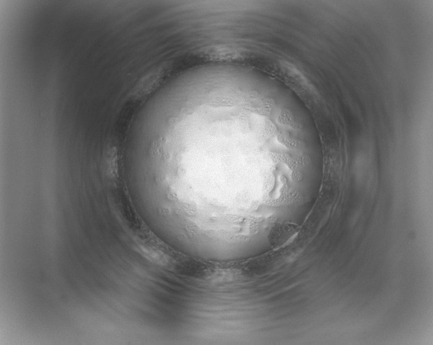 X0000071940549200607212203