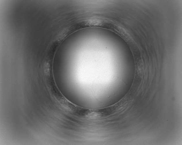 X0000071940551200607212203