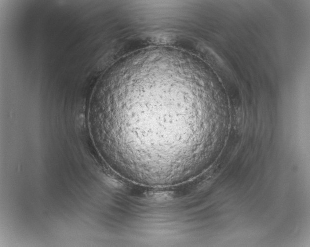 X0000071940553200607212203