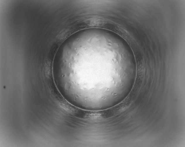 X0000071940554200607212203