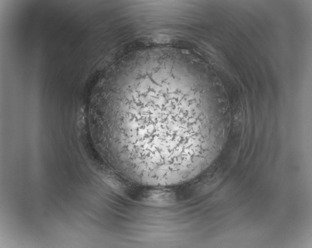 X0000071940555200607212203